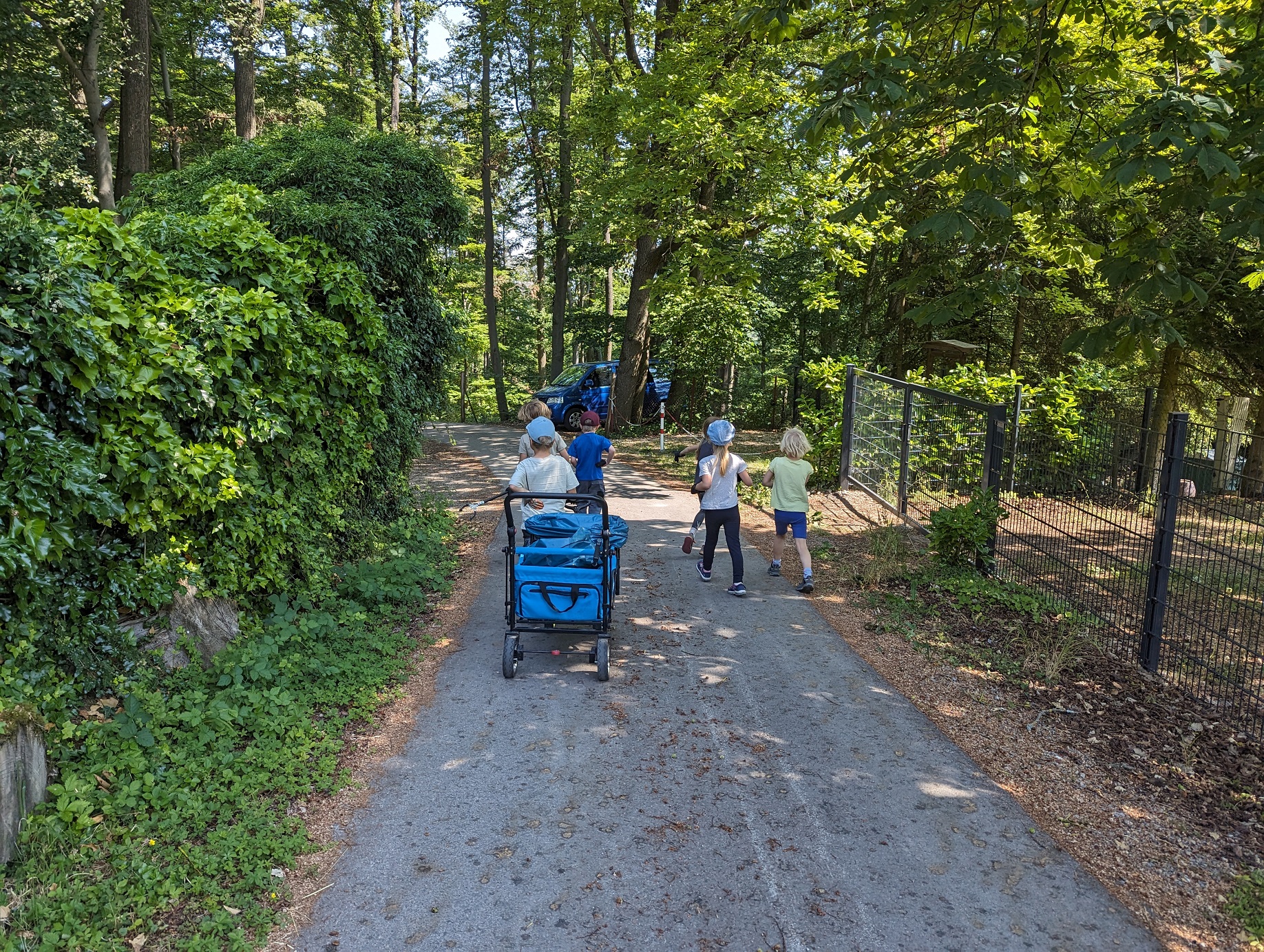 2023-06-17_Waldkehrwoche 03.jpg